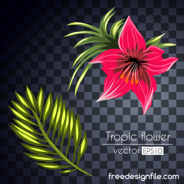 Vector vector illustration de fleurs tropicales 01  