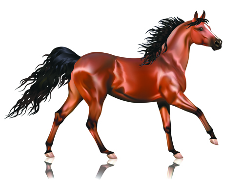 Vivid Horses design vector 02  