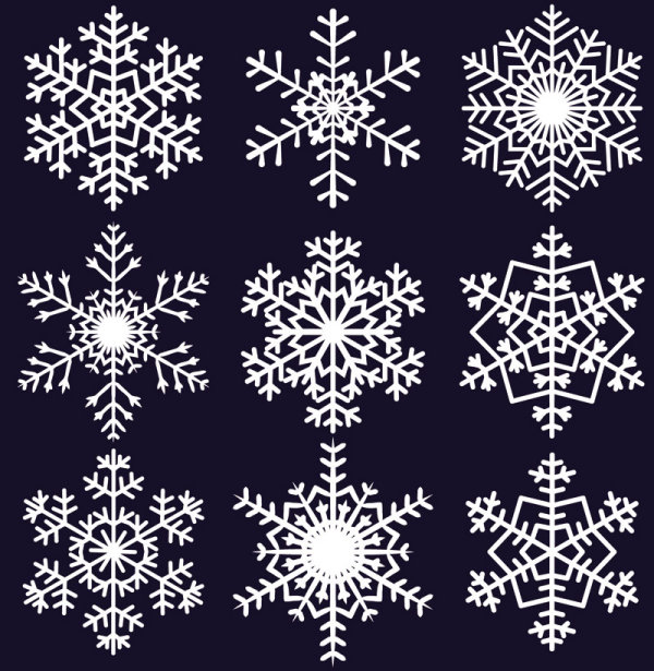 Different Snowflake pattern mix vector graphics 04  