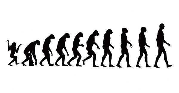 Elements of process of human evolution Vector  
