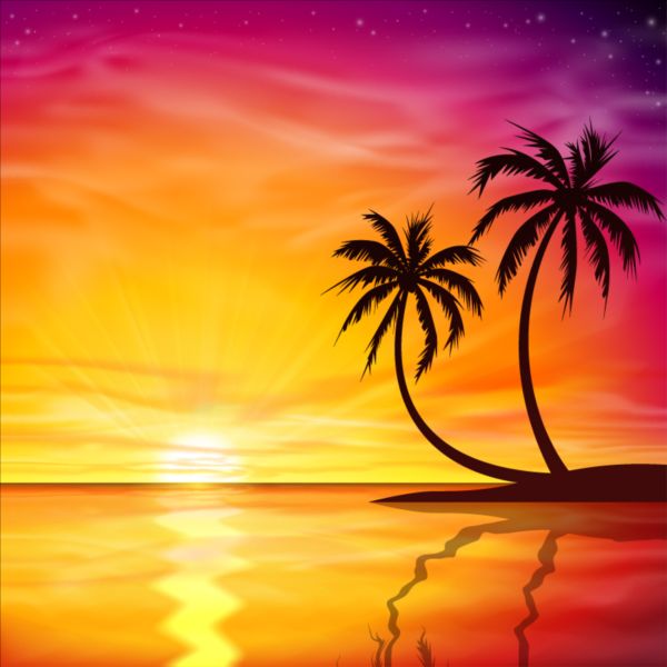 Beautiful sunset with palm trees background vector  