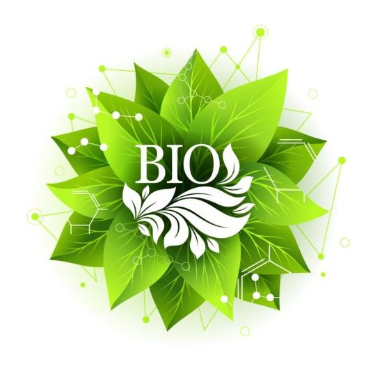 Bio label badge met groene bladeren vector 04  