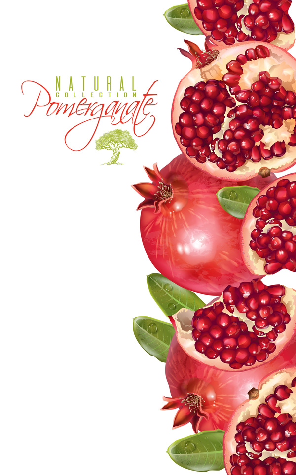 Fresh pomegranate background design vectors 04  