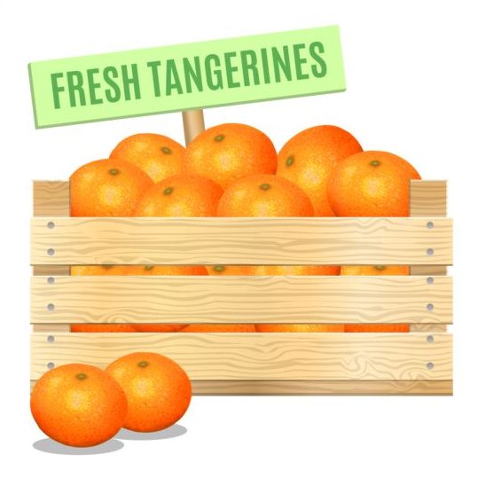 Vettore di poster di mandarini freschi  