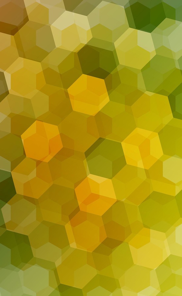 Orange with green hexagon backgrounds vector 02  