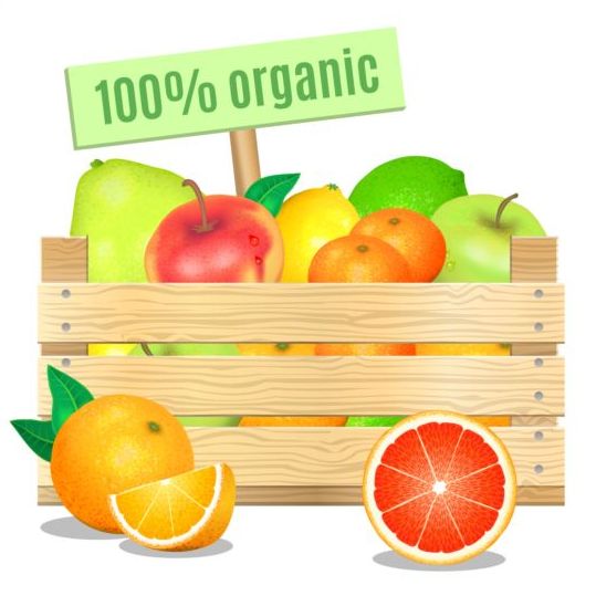 Organic fruit vector design  