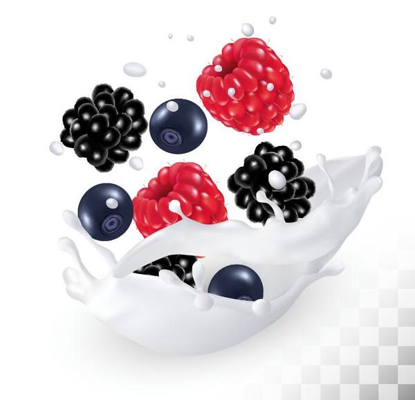 Framboise et myrtille avec blackberry avec vecteur de lait splash  