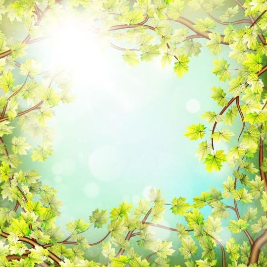 Summer green leaves with sunlight background vector 01  