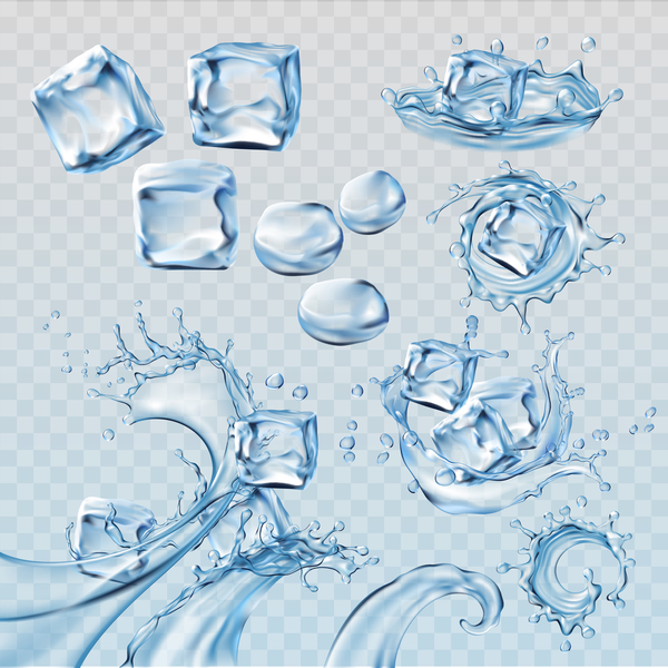 Water flower with ice vector illustration  