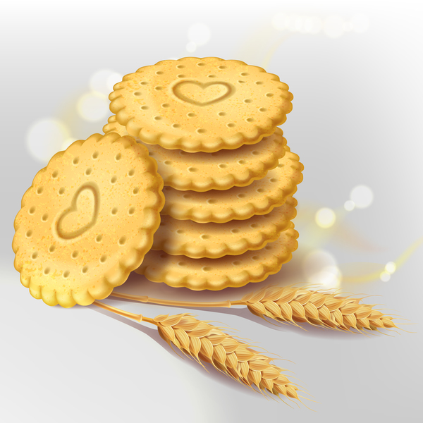 Vecteur d'illustration de biscuits de blé  