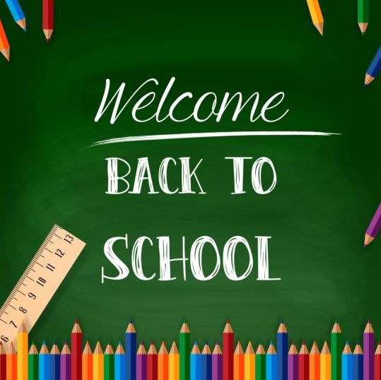 Back to school background with colored pencil vector  