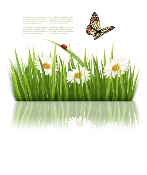 Beautiful butterfly and green grass vector background 04  