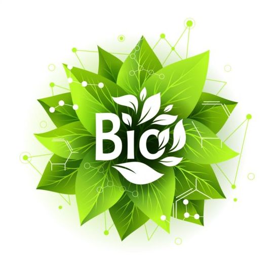 Bio label badge met groene bladeren vector 03  
