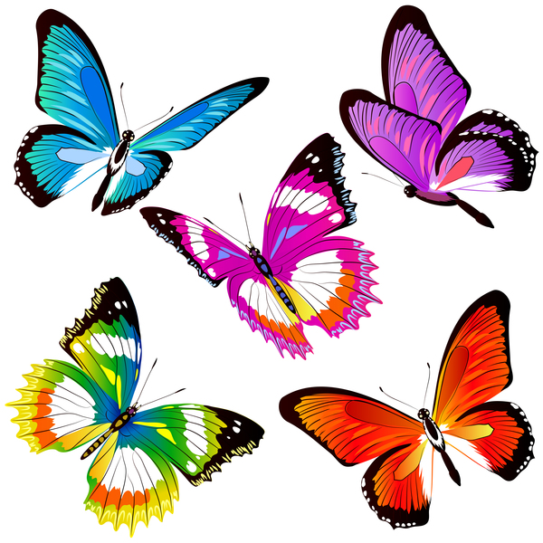 Colorful butterfies vector illustration set 03  