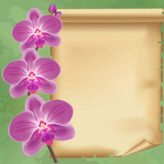 Flower orchid and old paper background vector  