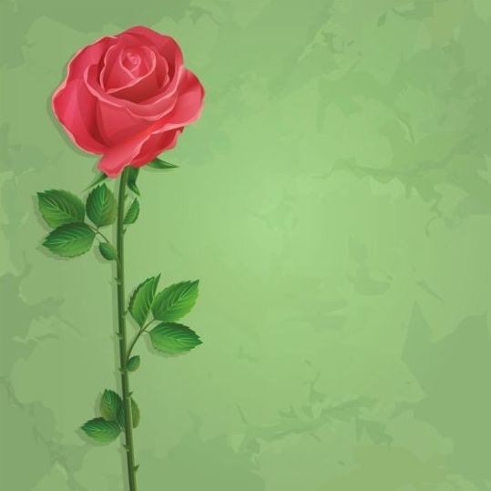 Rose rouge avec le vecteur de fond grunge vert  