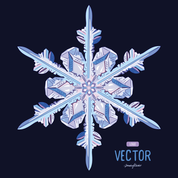 Snowflake shape with snow frame on black background vector 01  