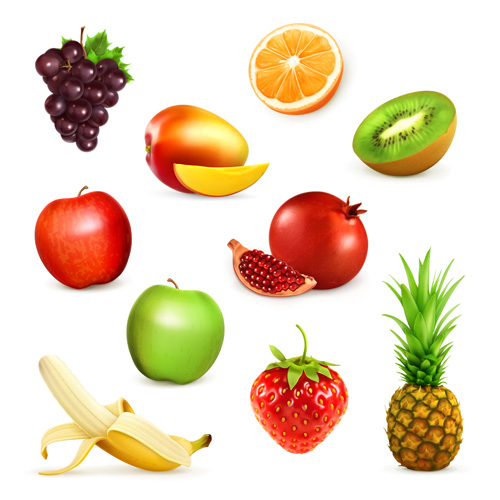 Various fresh fruits vector design 02  