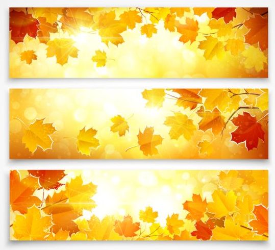Vektorbanner mit Herbst-Blättervektor-Set 01  