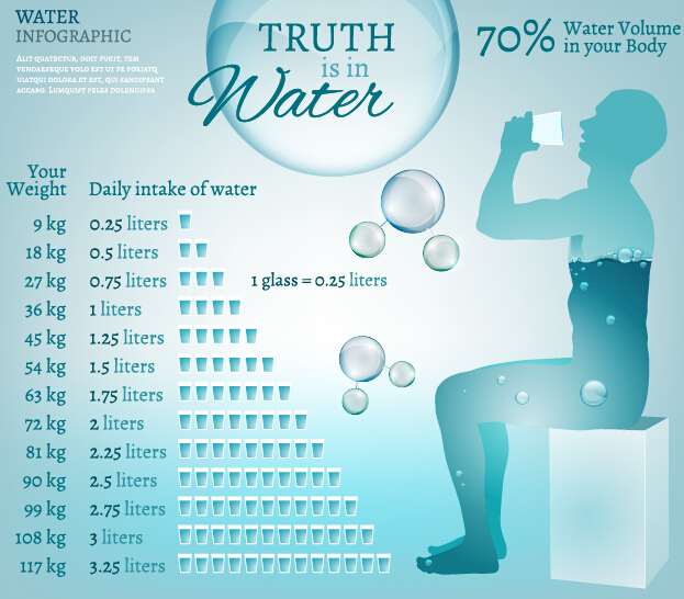 Water in human body infographic vector 07  