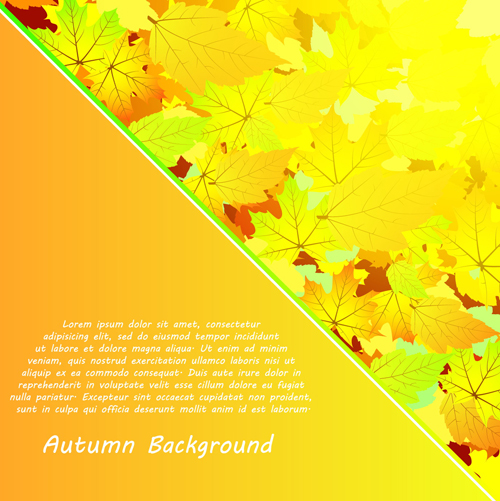 Autumn beautiful background vector set 09  
