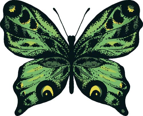 Beautiful butterflies design material vector 04  