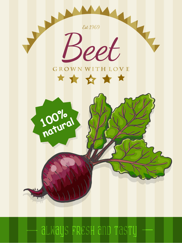 Beet poster vector  