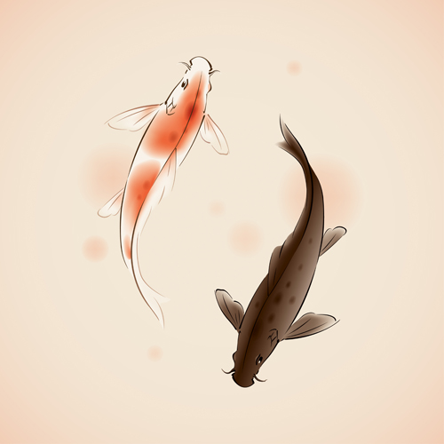 Chinese fish watercolor vector  