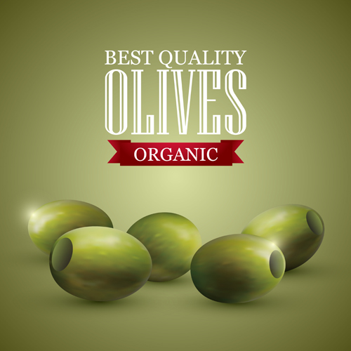 Quality organic olives vector graphics 02  