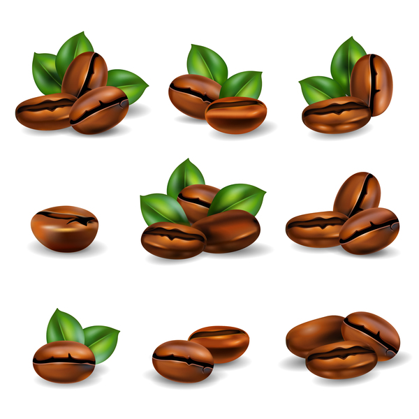 現実的なベクトルを設定するコーヒー豆  