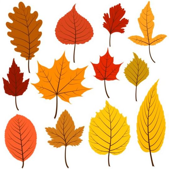 Herfst blaadjes in warme kleuren vector  
