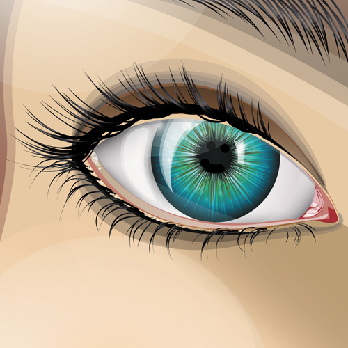 Beautiful Eyes Vector graphic 04  