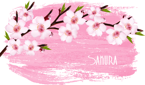 Beautiful sakura vector background graphics 03  