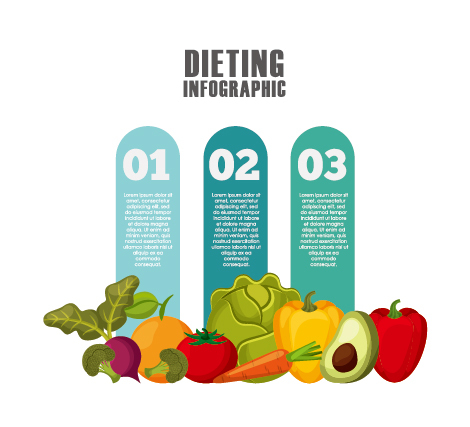 Dieting infographic template vectors 06  