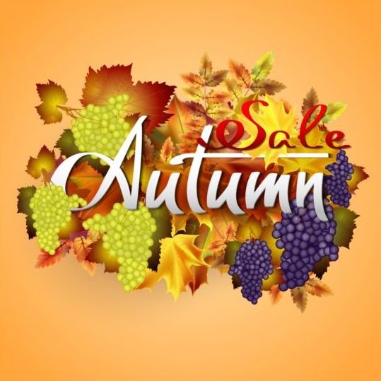 Grape with leaves autumn background vector  