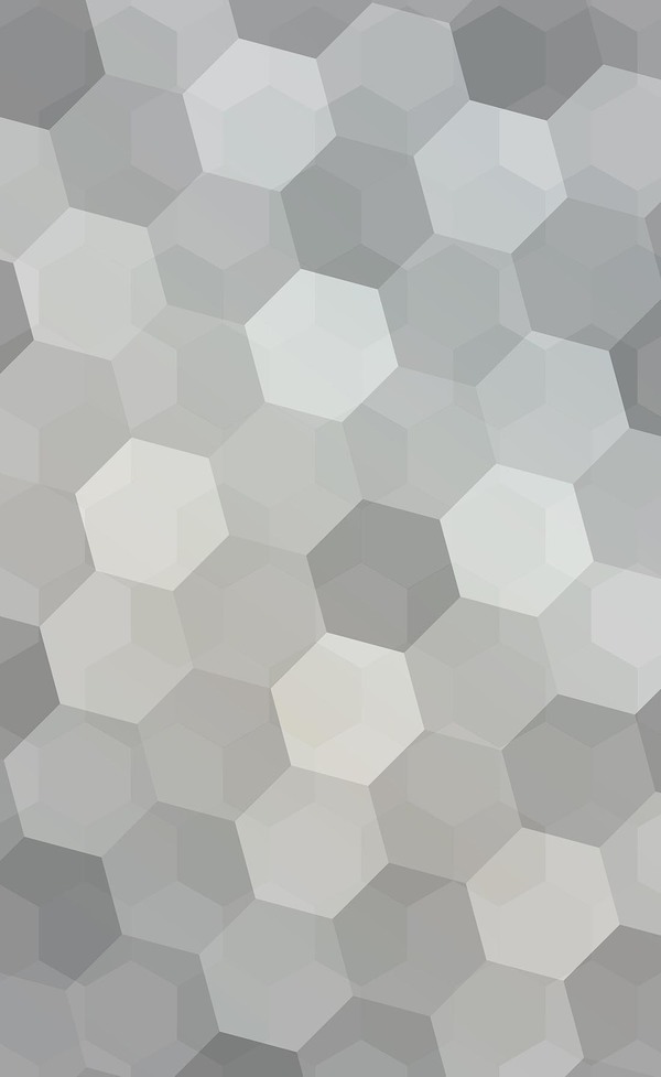 Gray hexagon backgrounds vector  
