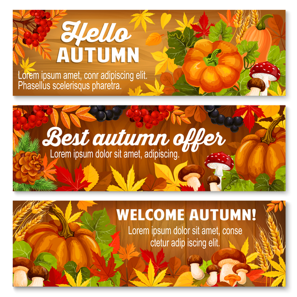 Harvest the fall banner vector material 08  