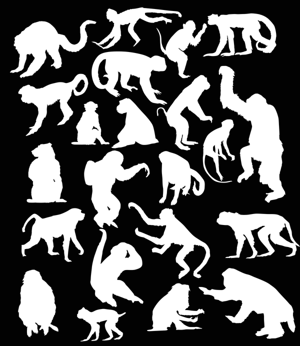 Monkey white silhouette vector set 02  