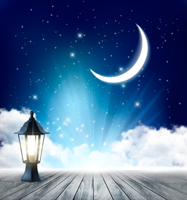 Nature night background with lamp vector  