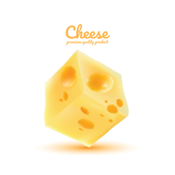 Premium-Qualität Käse realistische Vektor 12  
