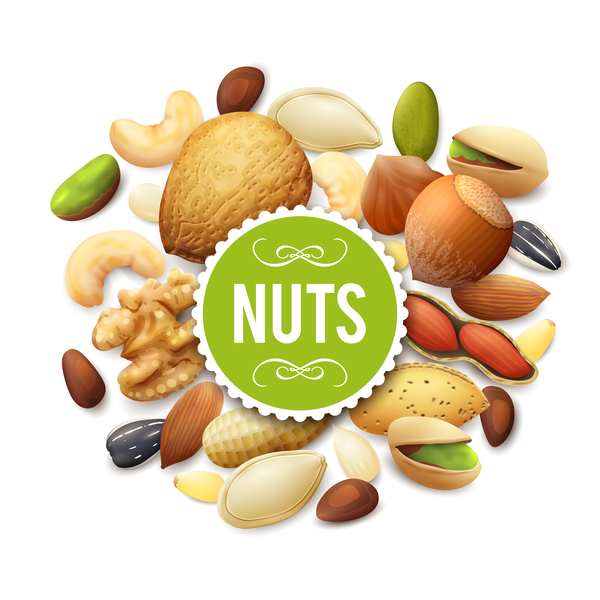 Shiny nuts background vector  