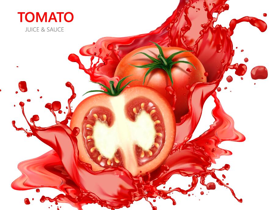 Jus de tomate avec design vectoriel de fond blanc 04  
