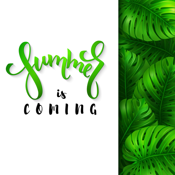 monstera leaves with summer background vector  