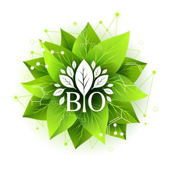 Bio label badge met groene bladeren vector 02  