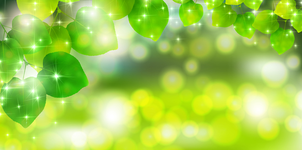 Bokeh background with green leaves vector material 01  