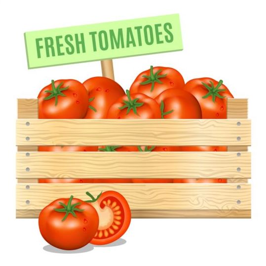Conception de vecteur d’affiche de tomate fraîche  