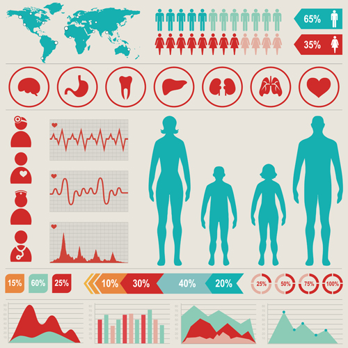 Medical health Infographic template vector 03  