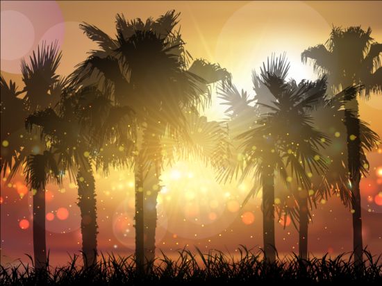 Palm bomen met zonsondergang zomer achtergrond 01  