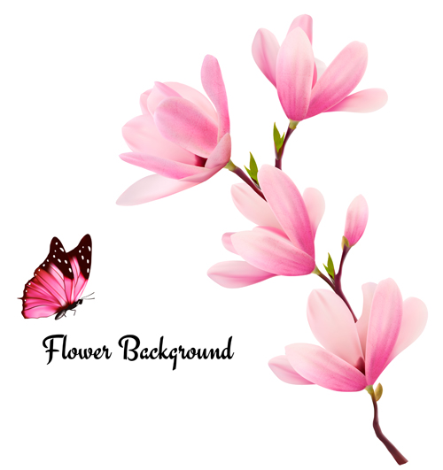 Pink magnolia flower background vector 02  