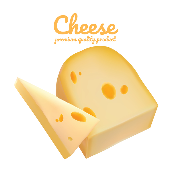Premium quality cheese realistic vector 02  